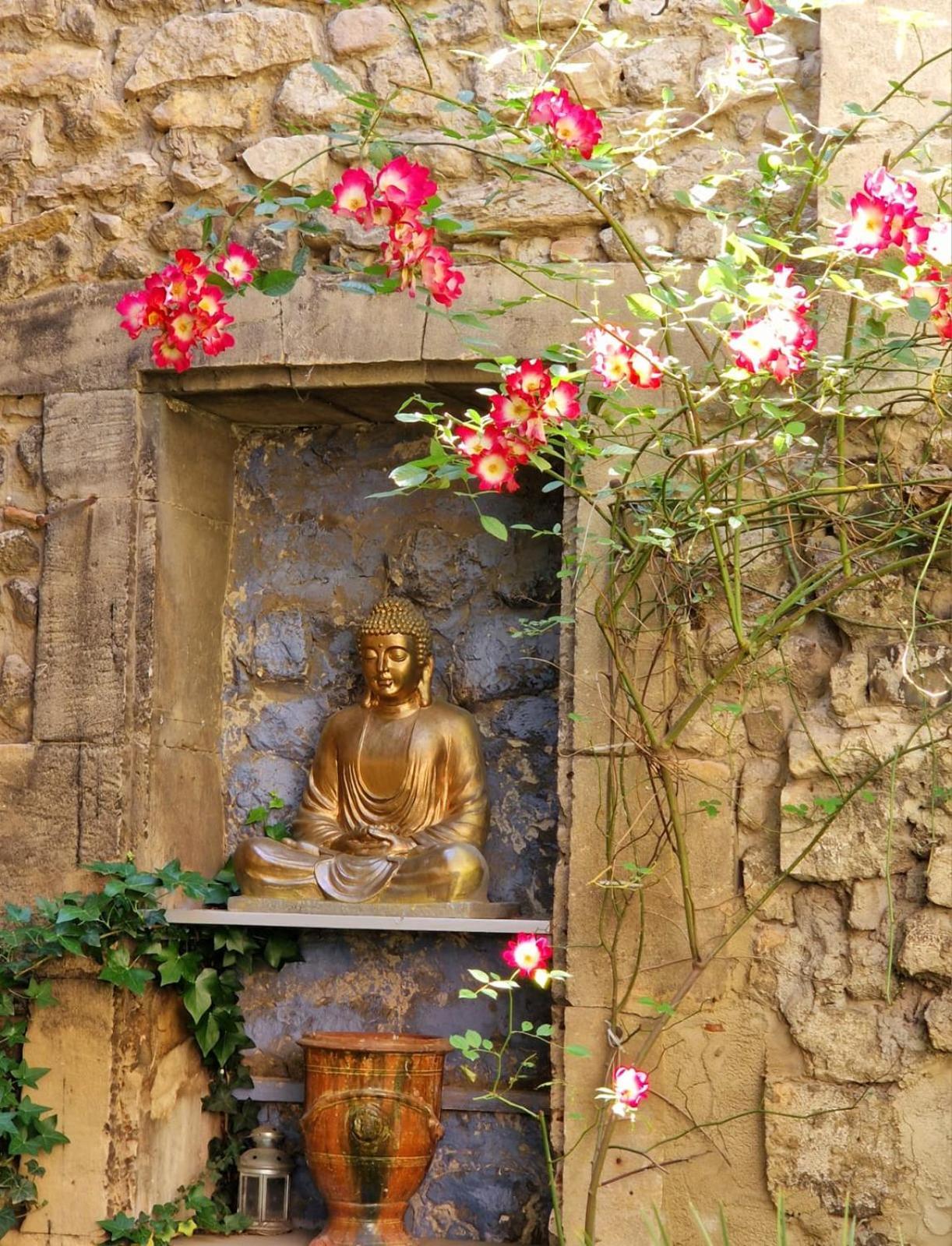 Apartamento Capucines, Un Jardin Secret Dans Le Centre Historique Arlés Exterior foto