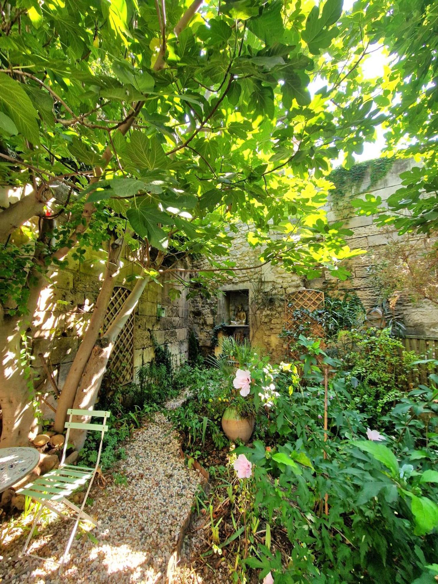 Apartamento Capucines, Un Jardin Secret Dans Le Centre Historique Arlés Exterior foto